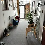 Ferien-whg Möwe Nahe Steinhuder Mit Garten Und Balkon Apartment Hagenburg